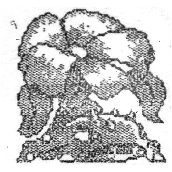 Ivysaur from the Capsule Monsters pitch
