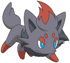 Zorua